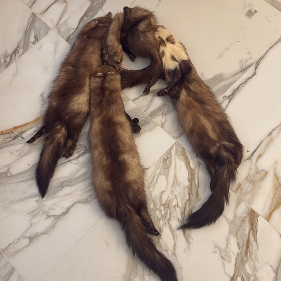 Genuine mink fur scarf - Picture 4 of 6